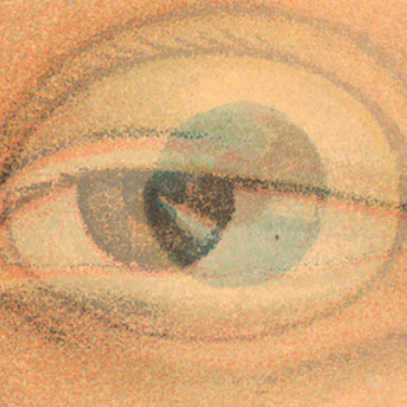 Eyes